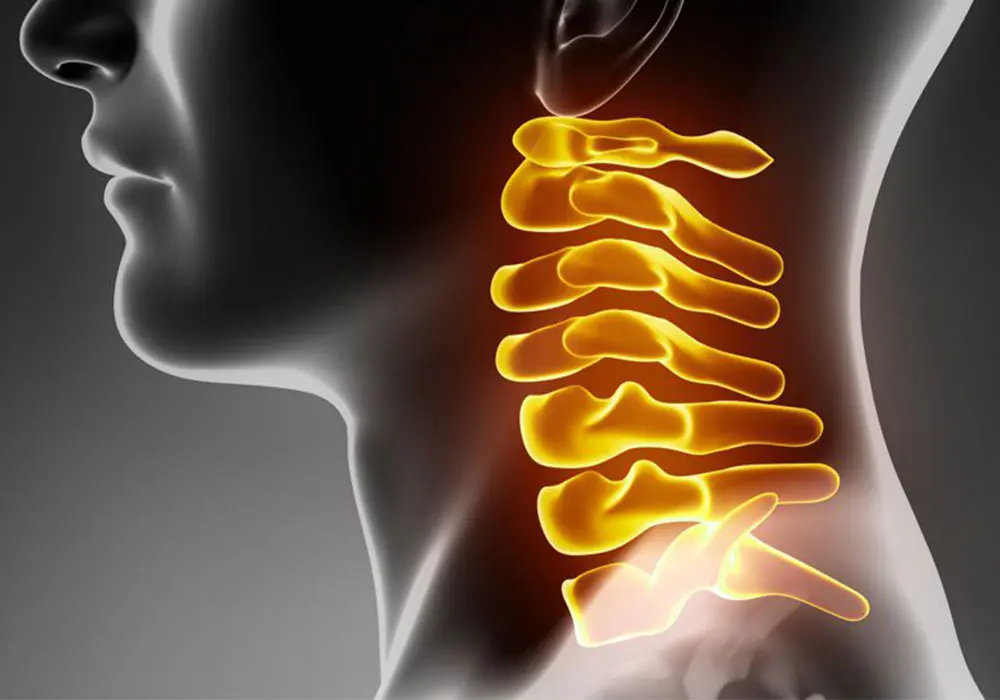 ossa-colonna-cervicale